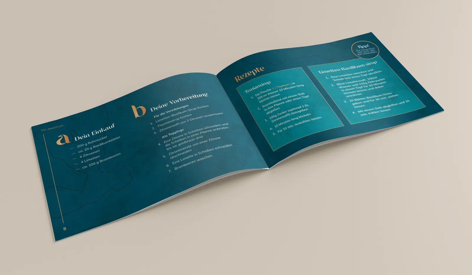 Open booklet with instructions
